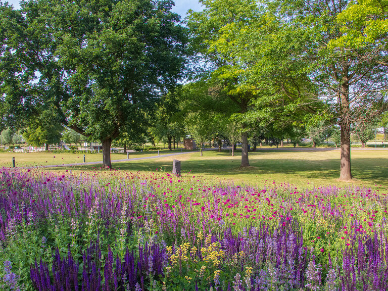 Ein Blumenfeld vor einem Park